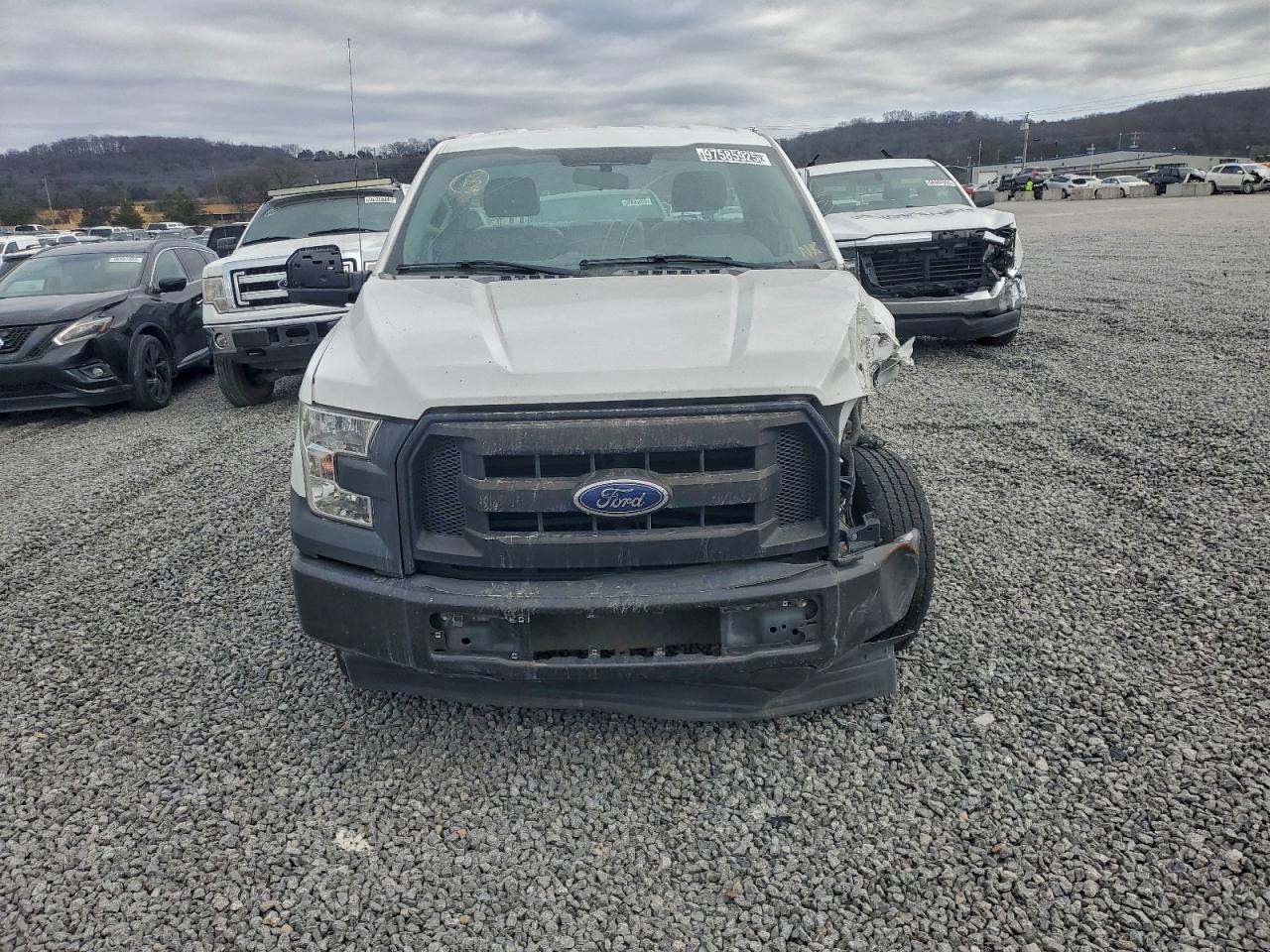 2017 FORD F150 photo 9