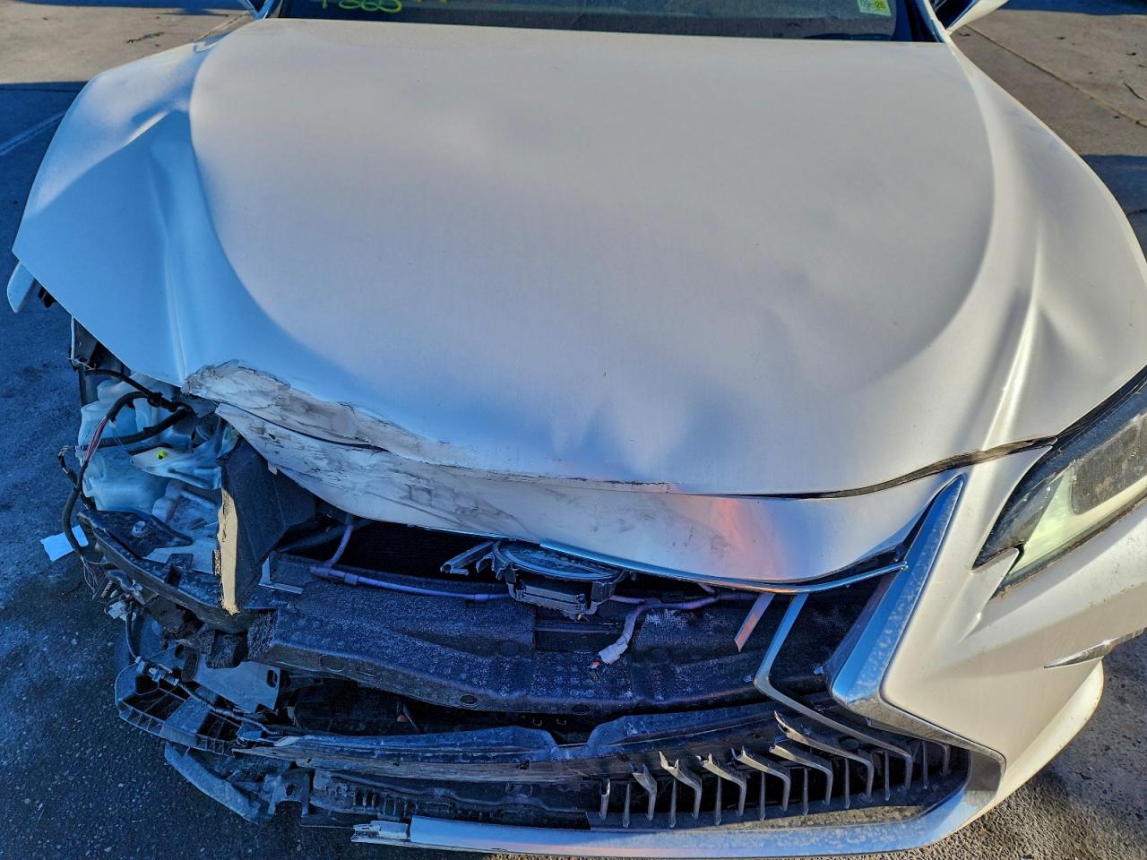 2020 LEXUS ES 350 photo 11