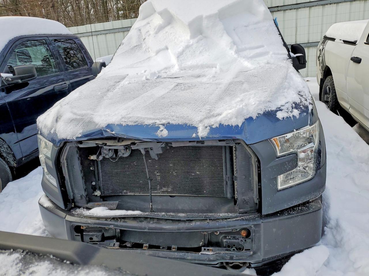 2017 FORD F150 photo 5