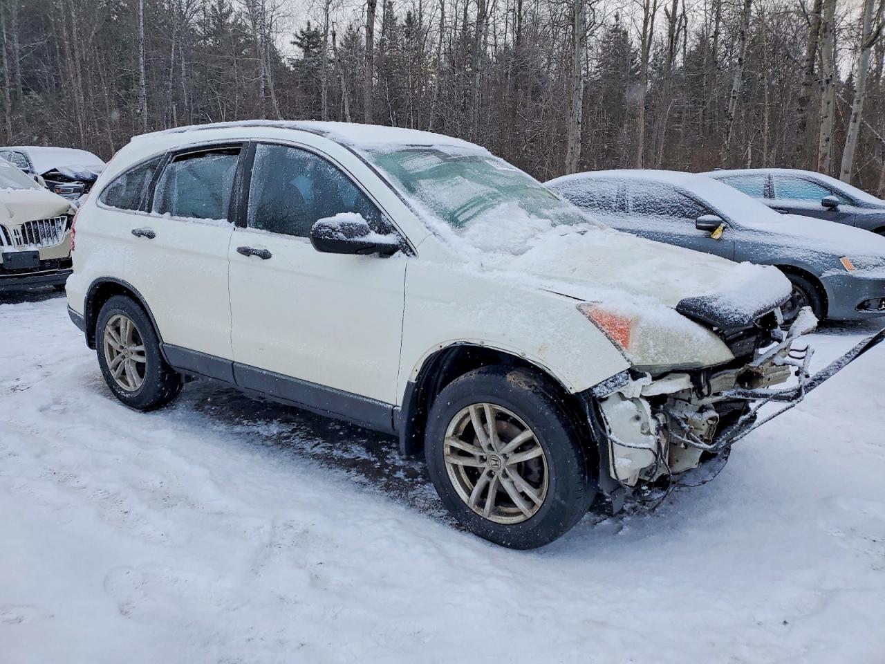 2008 HONDA CR-V LX photo 4