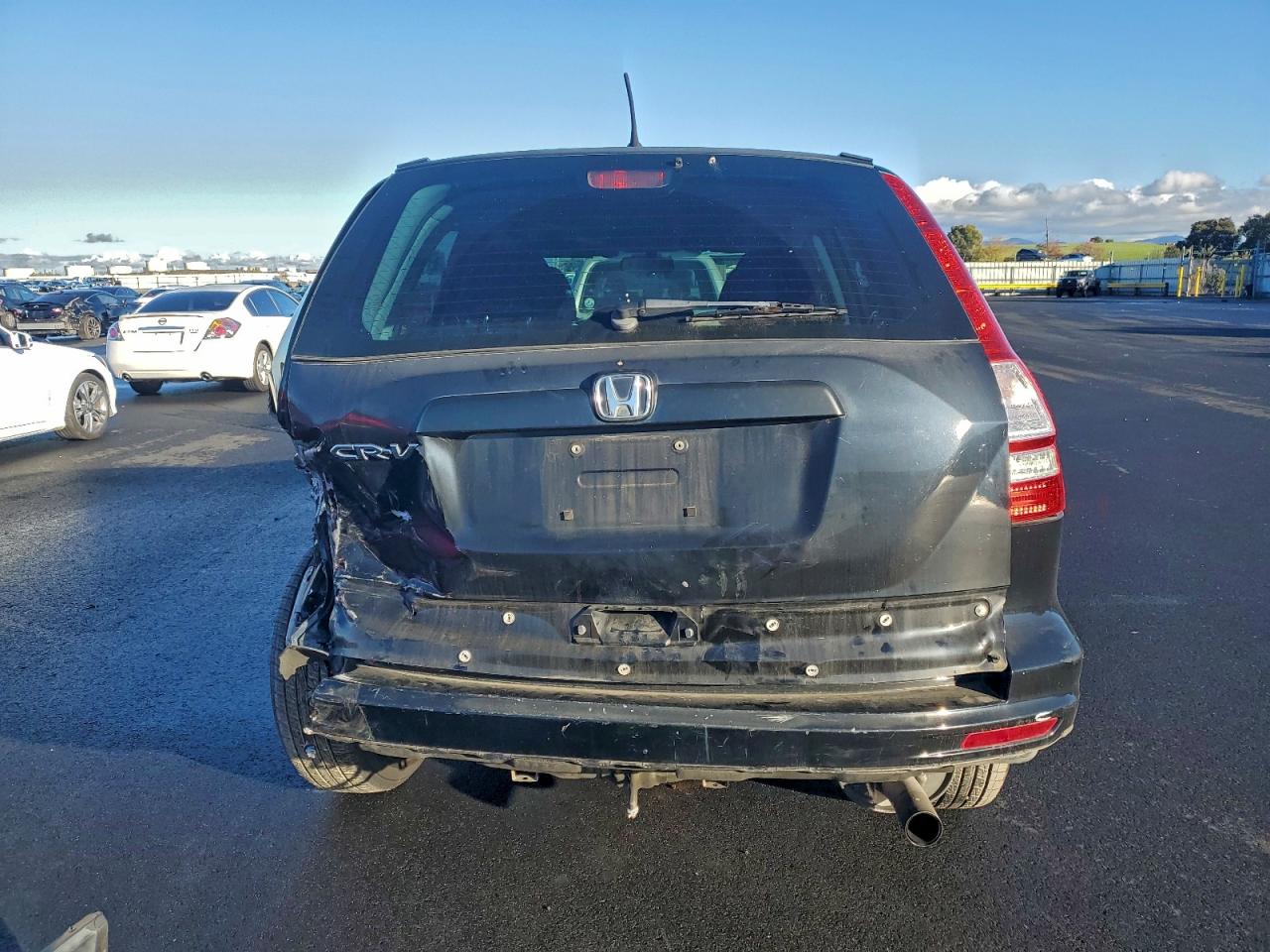 2010 HONDA CR-V LX photo 6