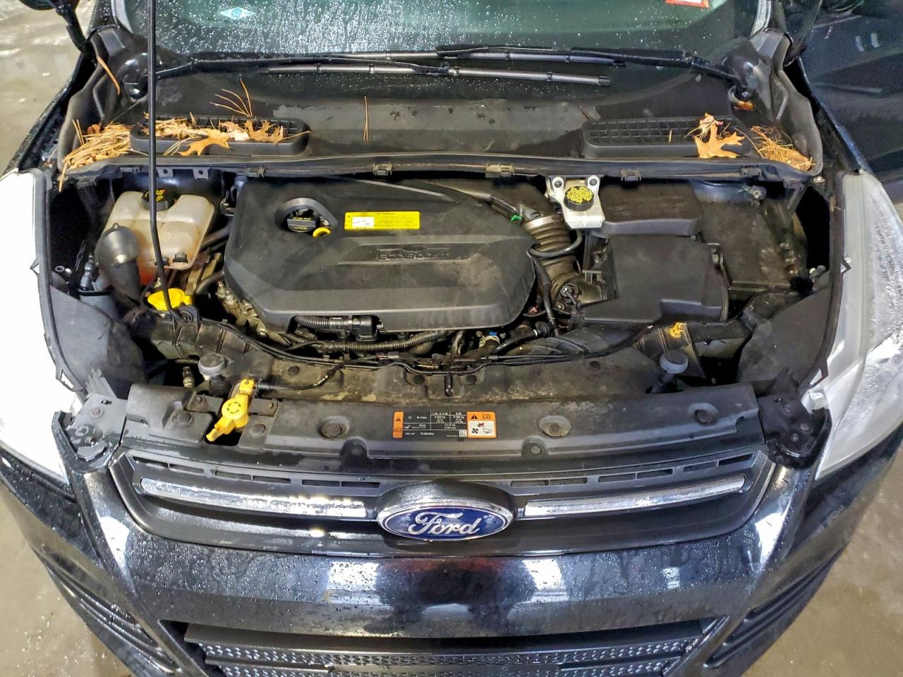 2015 FORD ESCAPE SE photo 12