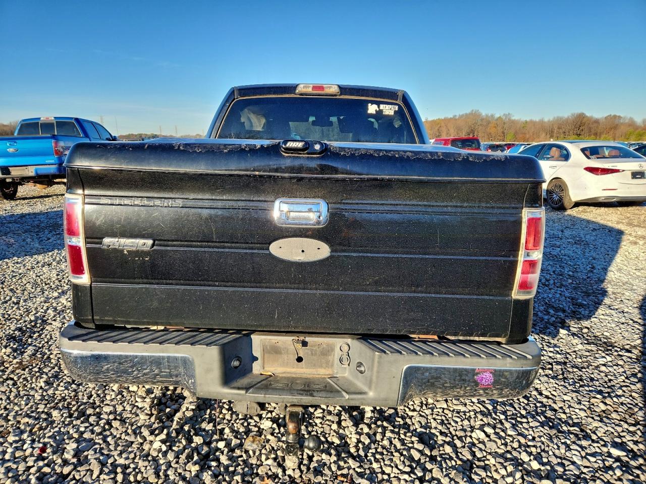 2009 FORD F150 photo 11