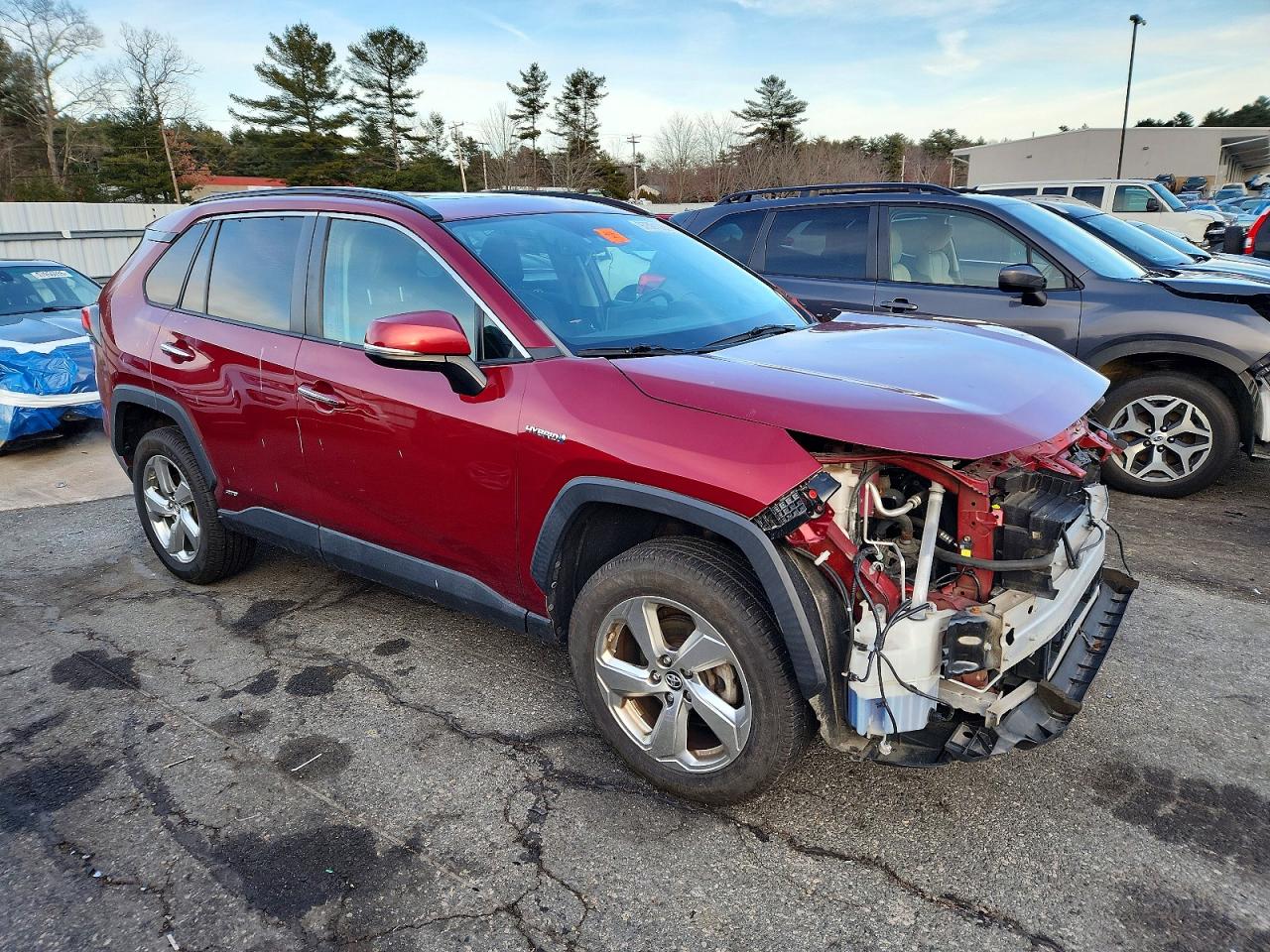 2019 TOYOTA RAV4 LIMITED photo 4