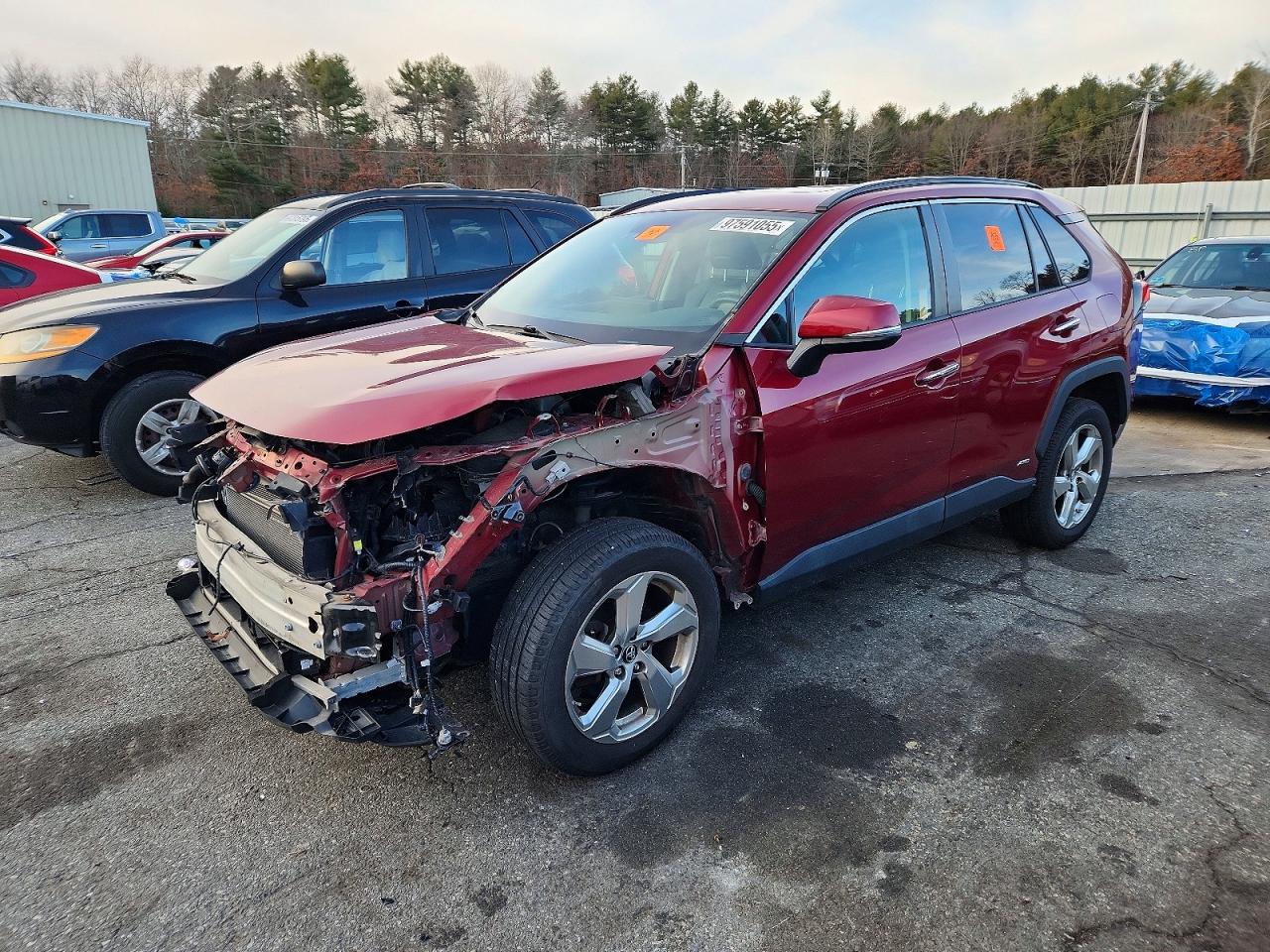 2019 TOYOTA RAV4