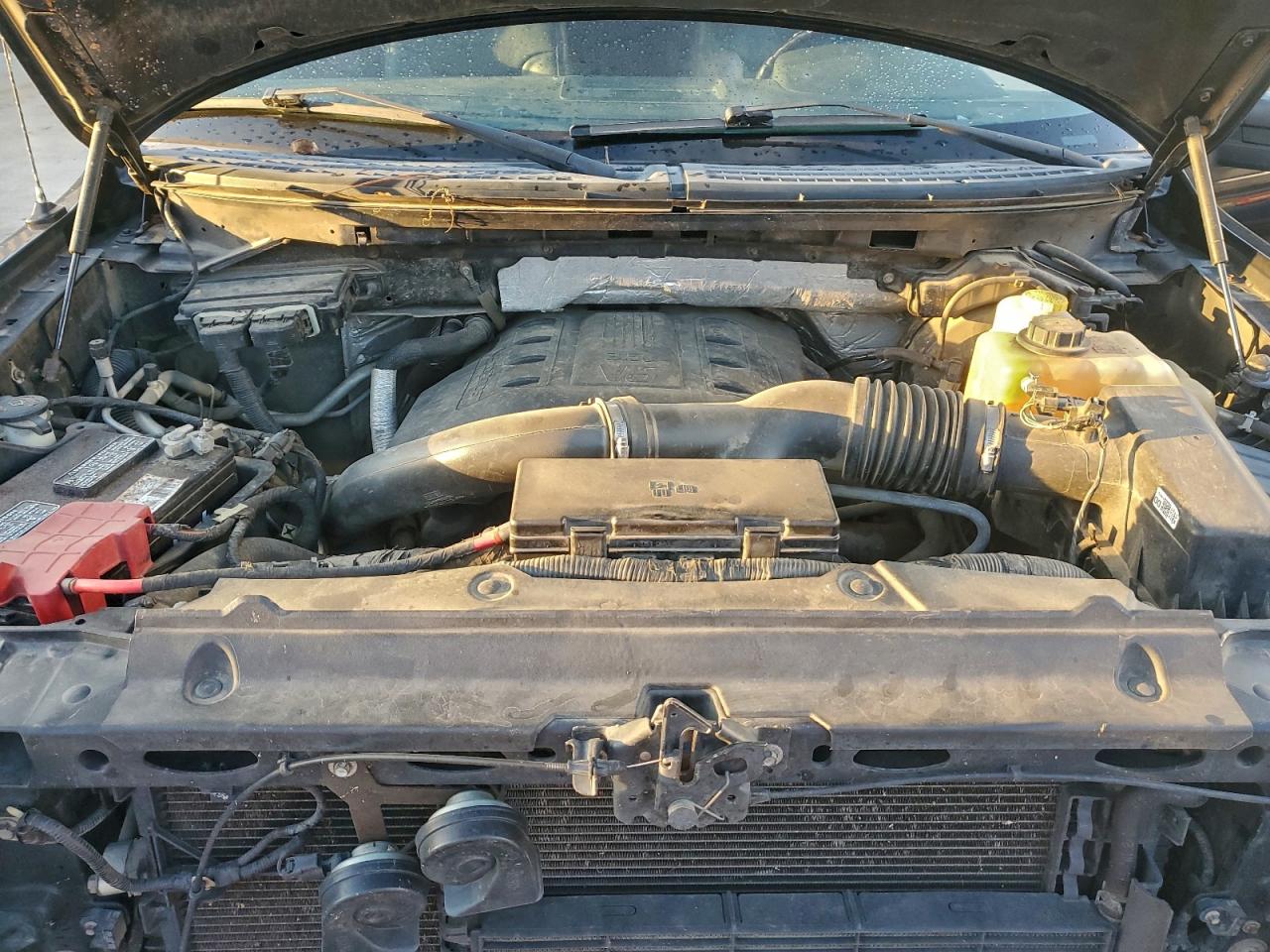 2014 FORD F150 SUPERCREW photo 11