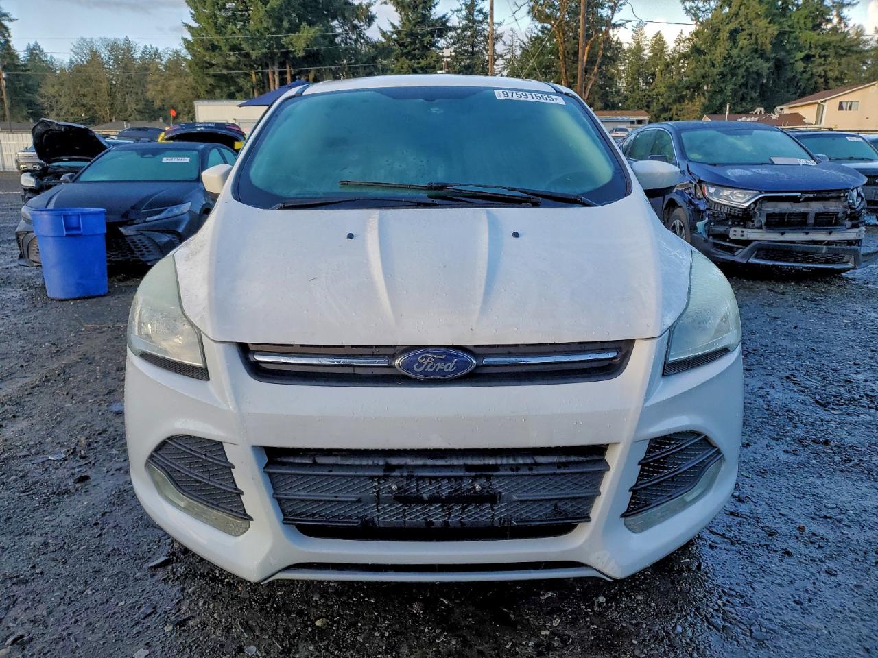 2014 FORD ESCAPE SE photo 5