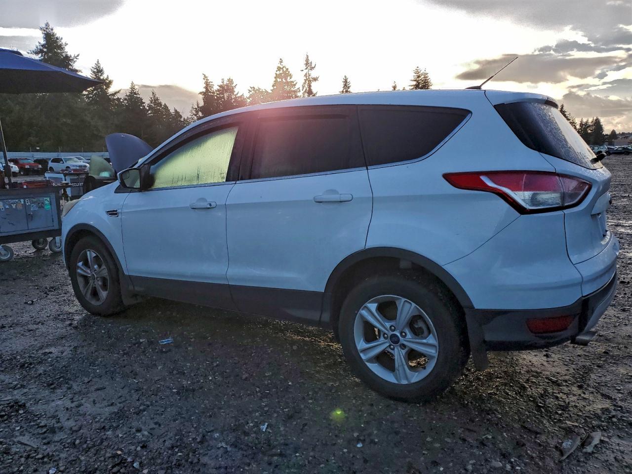 2014 FORD ESCAPE SE photo 2