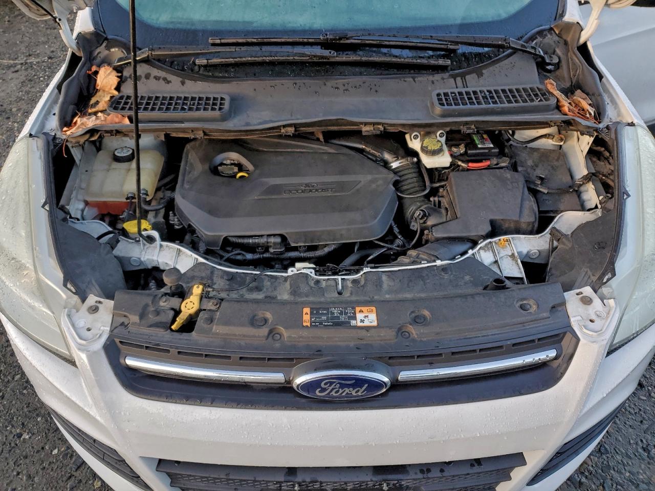 2014 FORD ESCAPE SE photo 12