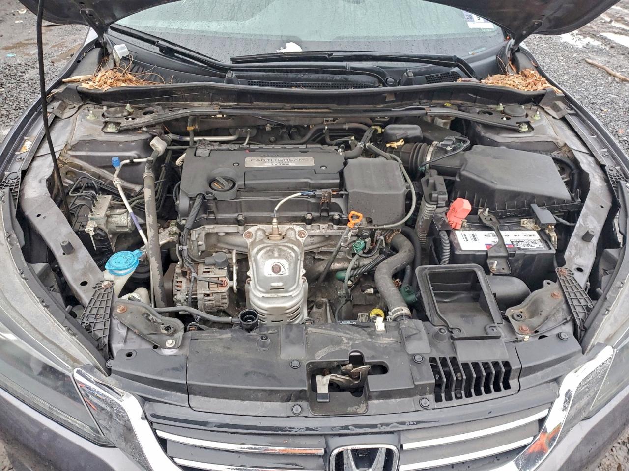 2015 HONDA ACCORD EXL photo 11