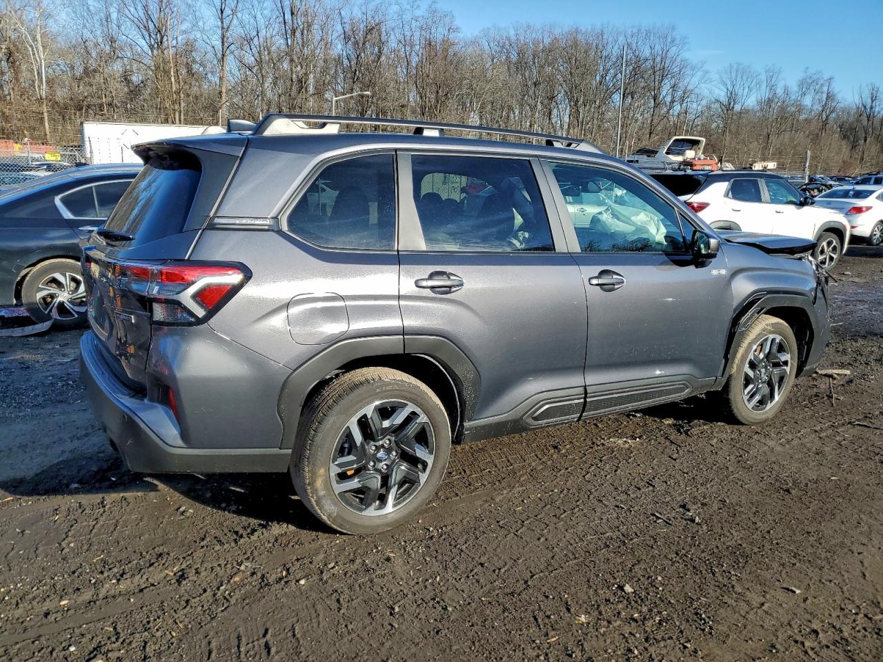 2025 SUBARU FORESTER LIMITED photo 3