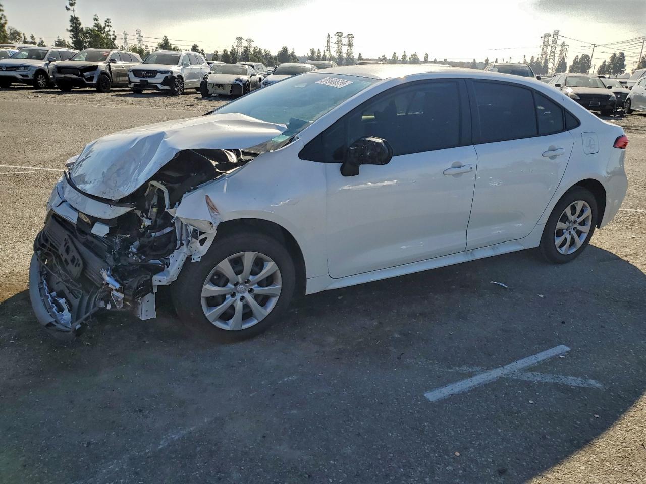2025 TOYOTA COROLLA