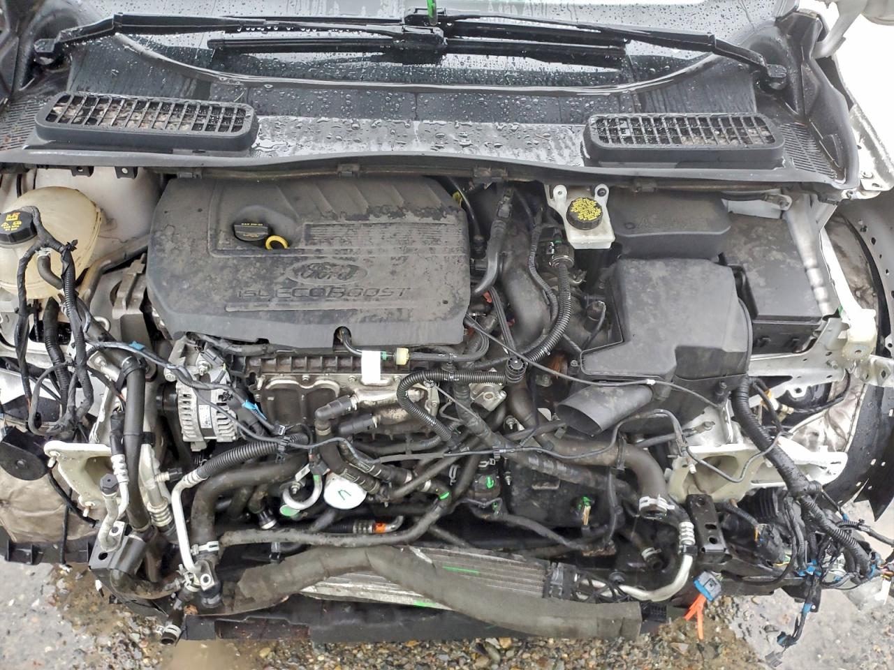 2018 FORD ESCAPE SEL photo 12