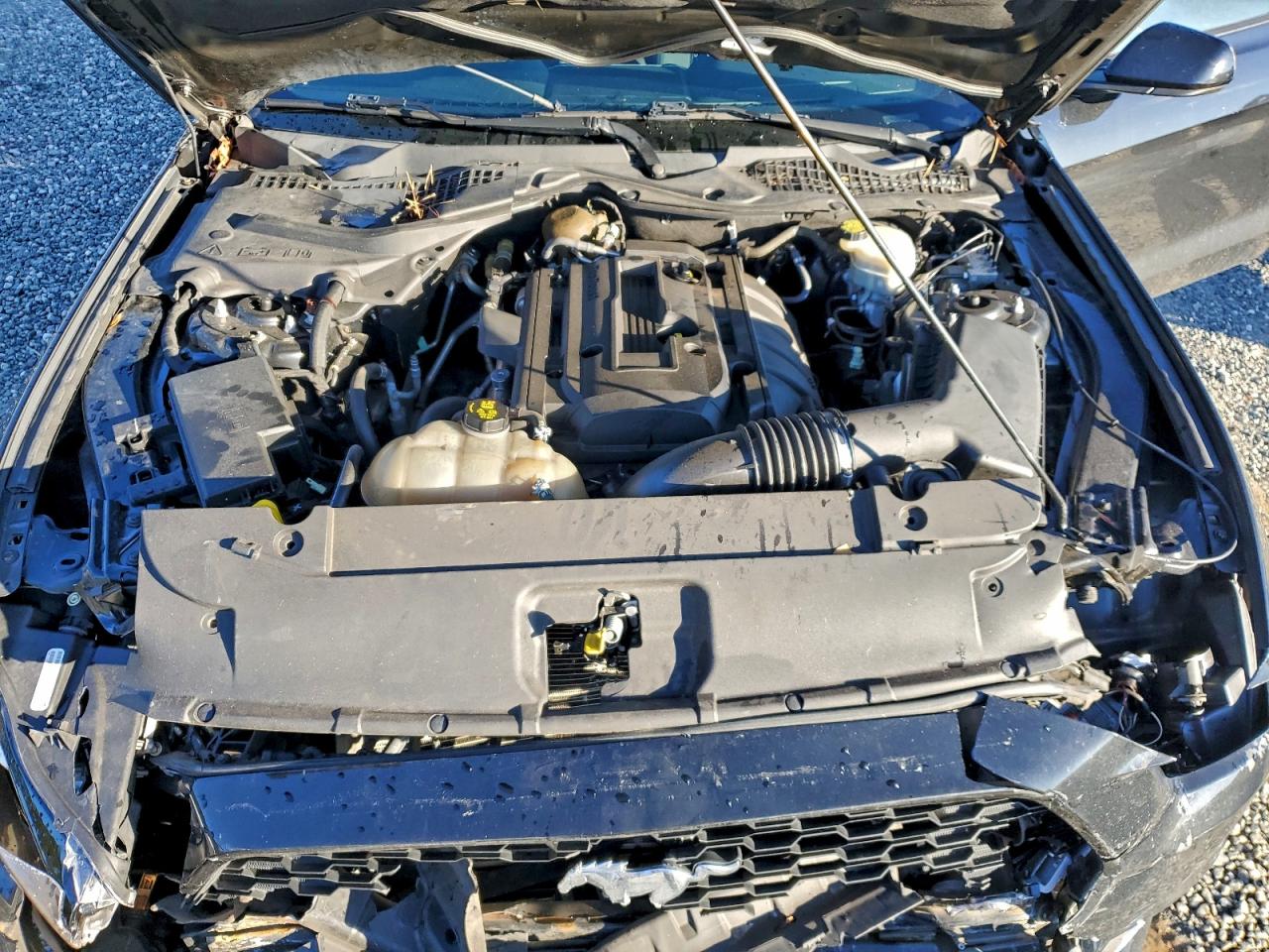 2017 FORD MUSTANG photo 11