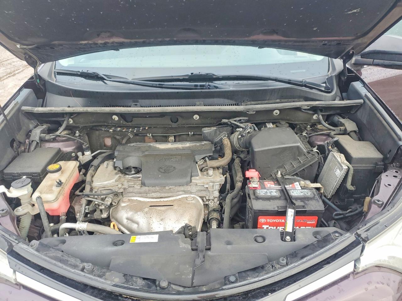 2017 TOYOTA RAV4 LE photo 12
