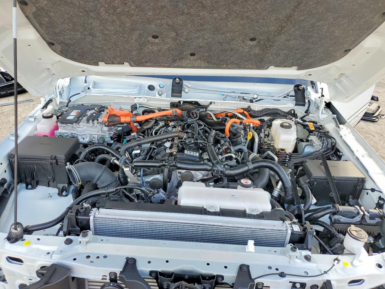 2025 TOYOTA LAND CRUISER BASE photo 12