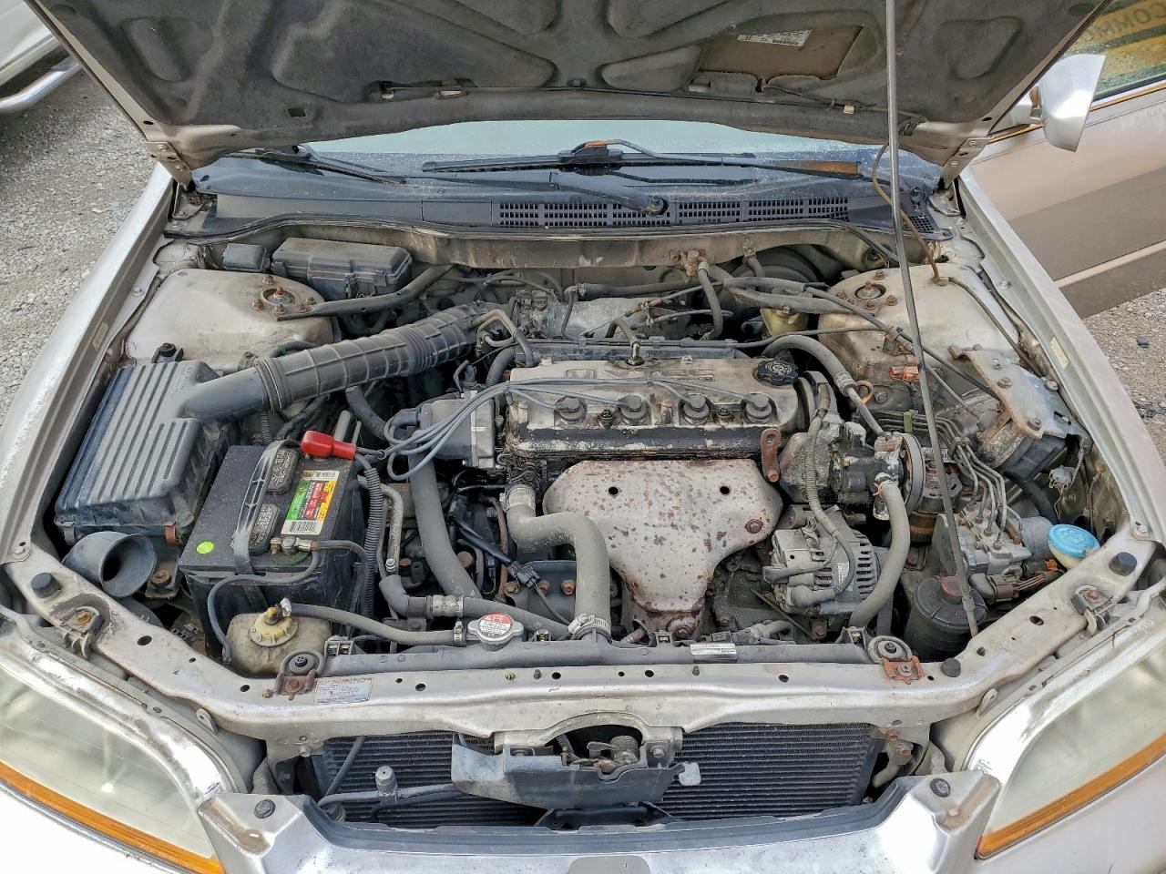 1999 HONDA ACCORD EX photo 11