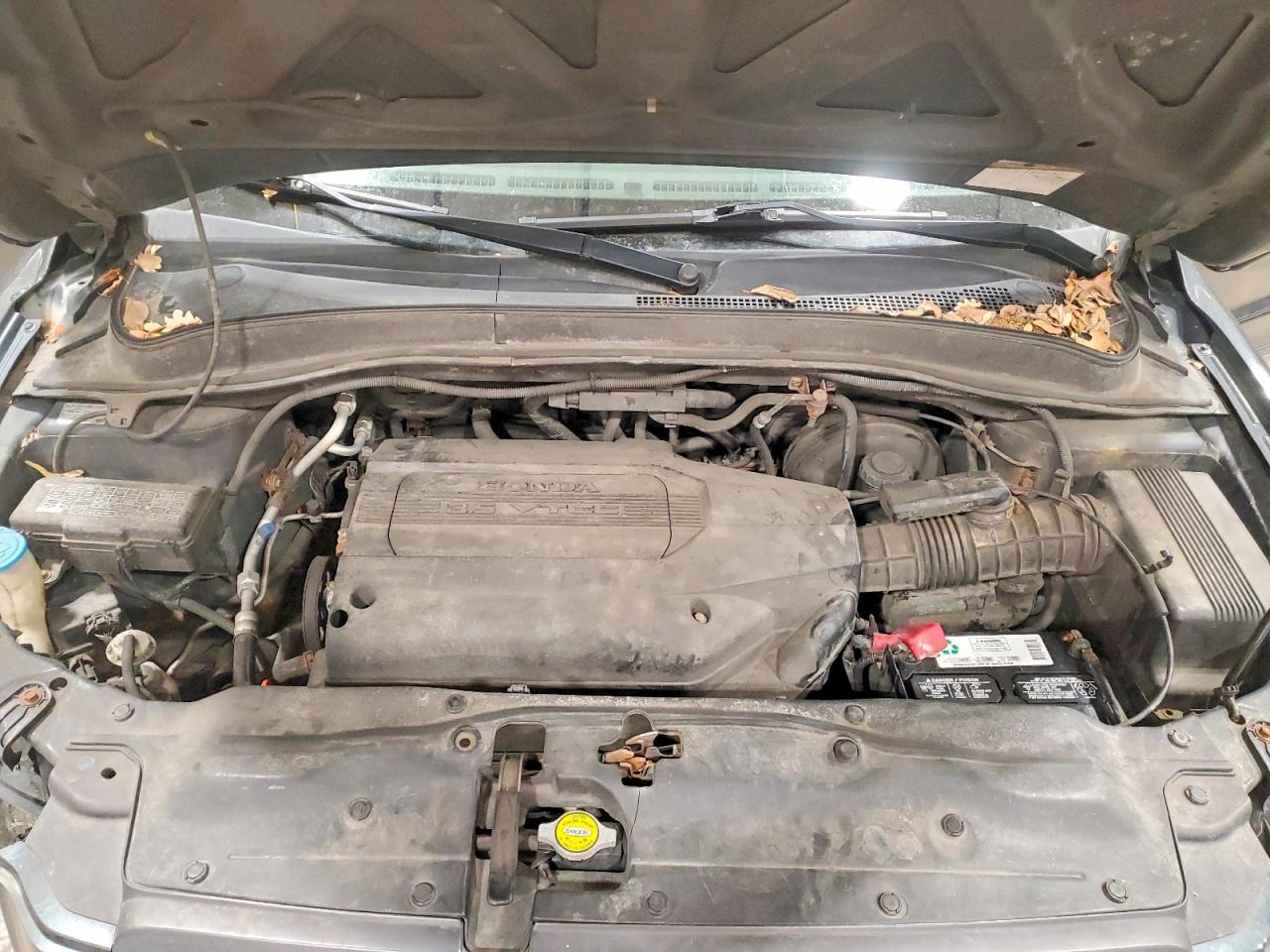 2004 HONDA PILOT EXL photo 12