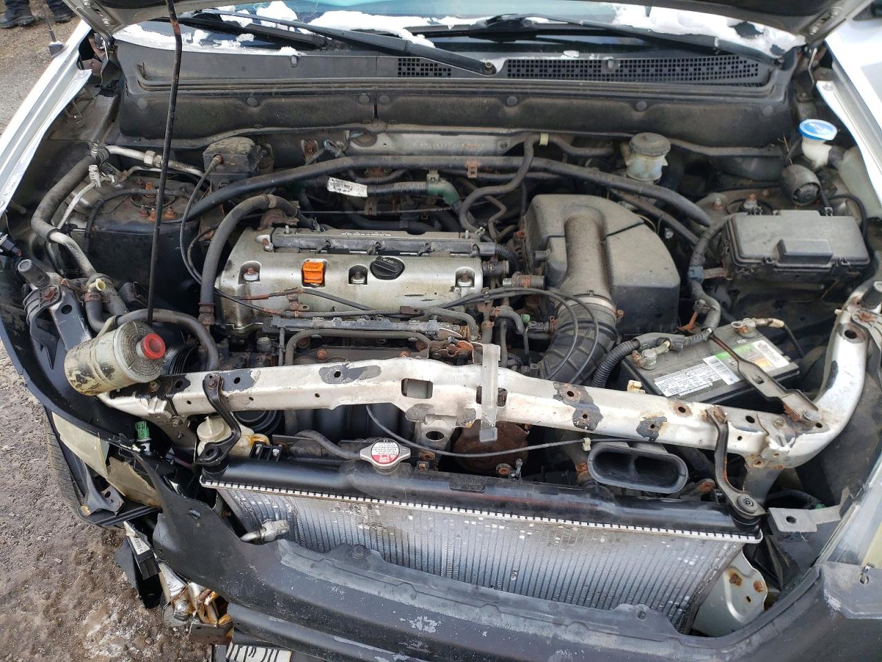 2004 HONDA CR-V LX photo 11