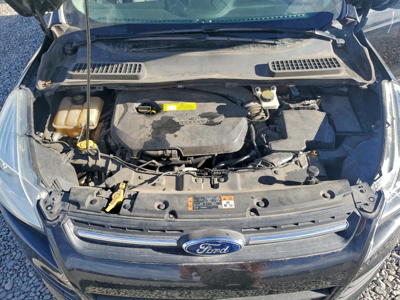 2015 FORD ESCAPE SE photo 12