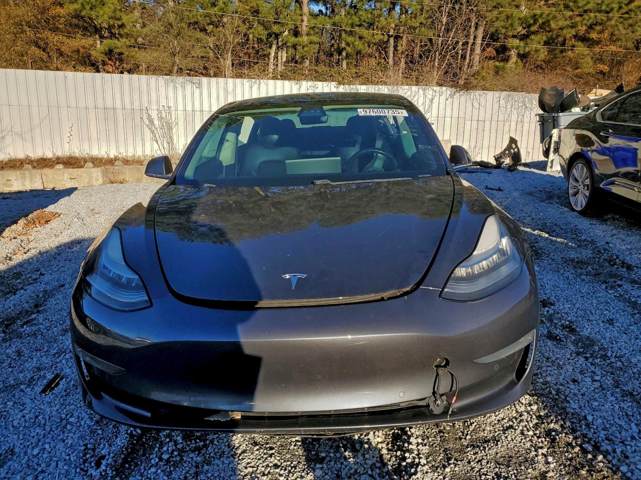 2019 TESLA MODEL 3 photo 5