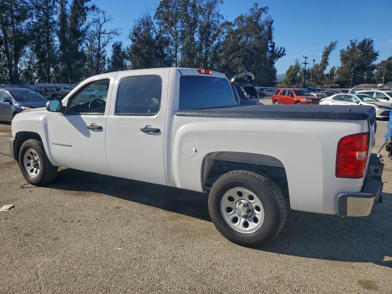 2009 CHEVROLET SILVERADO C1500 photo 2