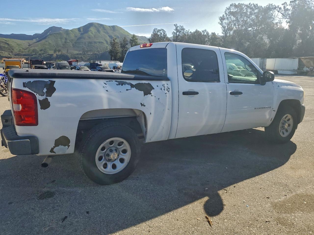 2009 CHEVROLET SILVERADO C1500 photo 3
