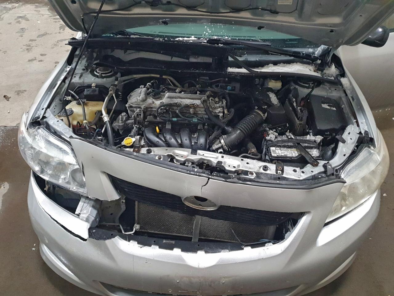 2010 TOYOTA COROLLA BASE photo 11