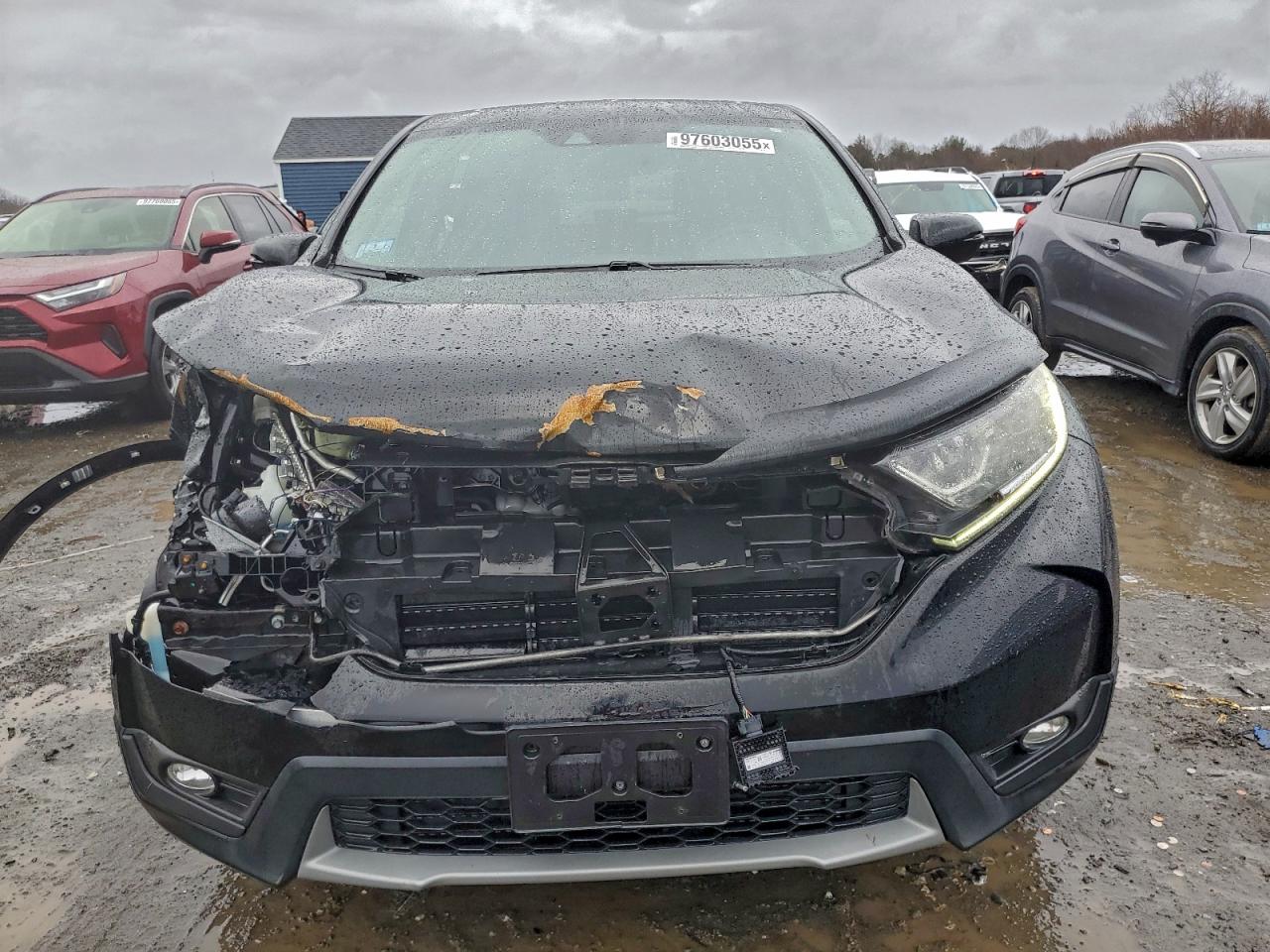 2017 HONDA CR-V EXL photo 13