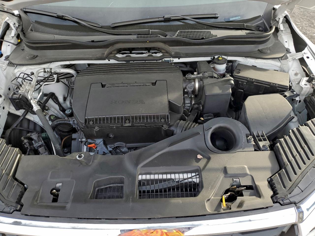 2025 HONDA PILOT EXL photo 23