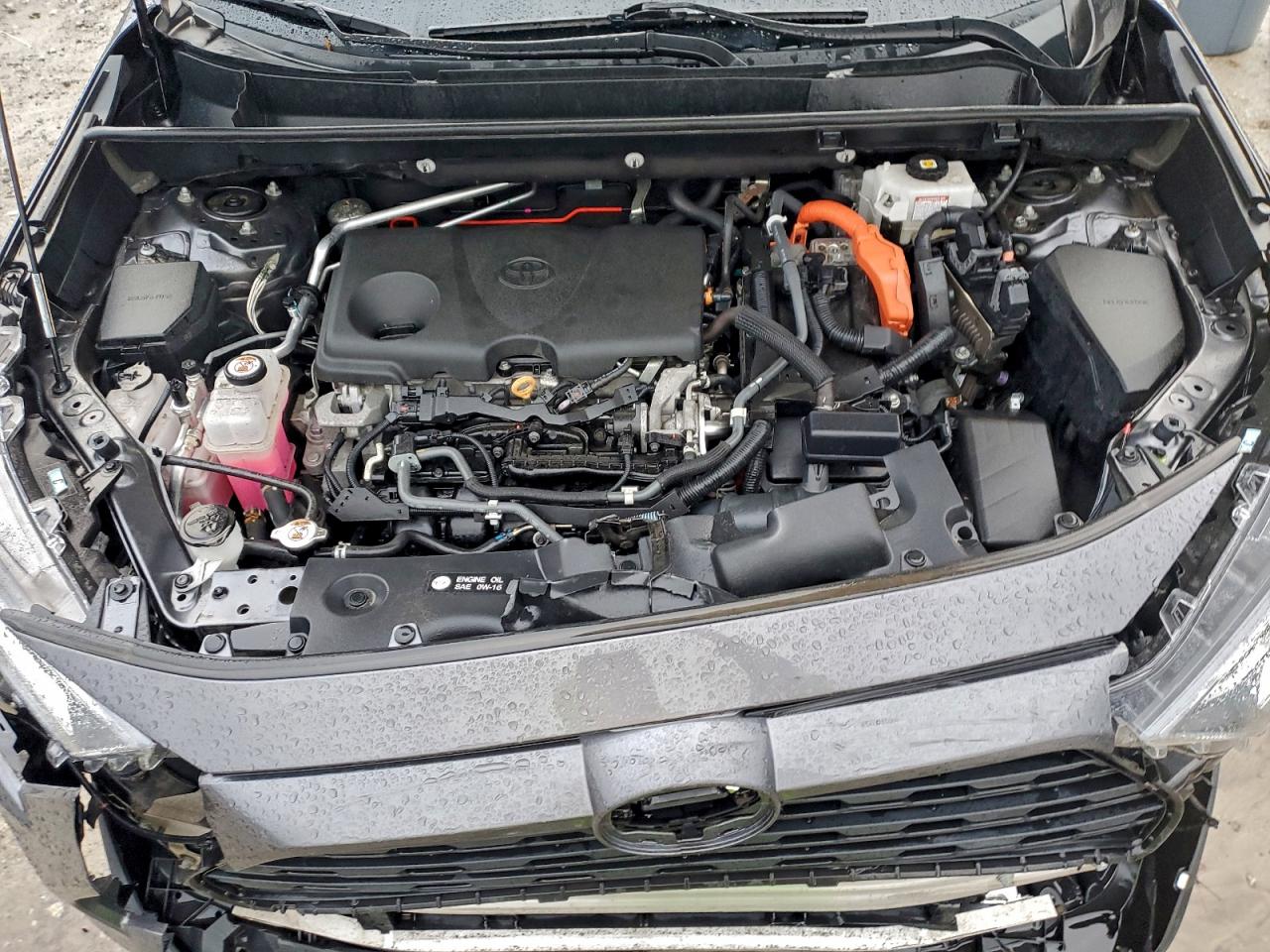 2021 TOYOTA RAV4 XLE photo 12