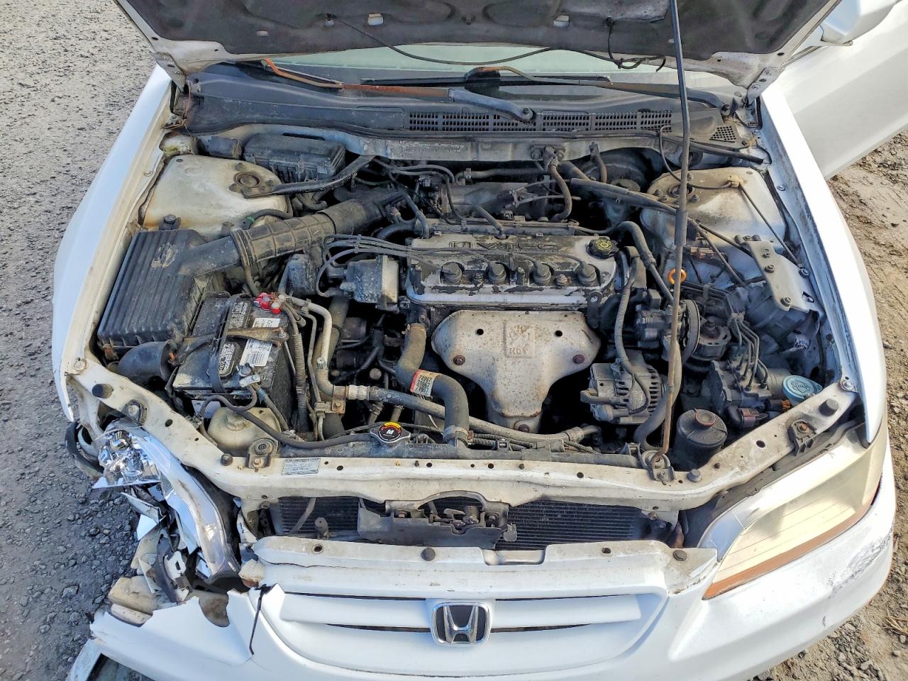 2002 HONDA ACCORD EX photo 11