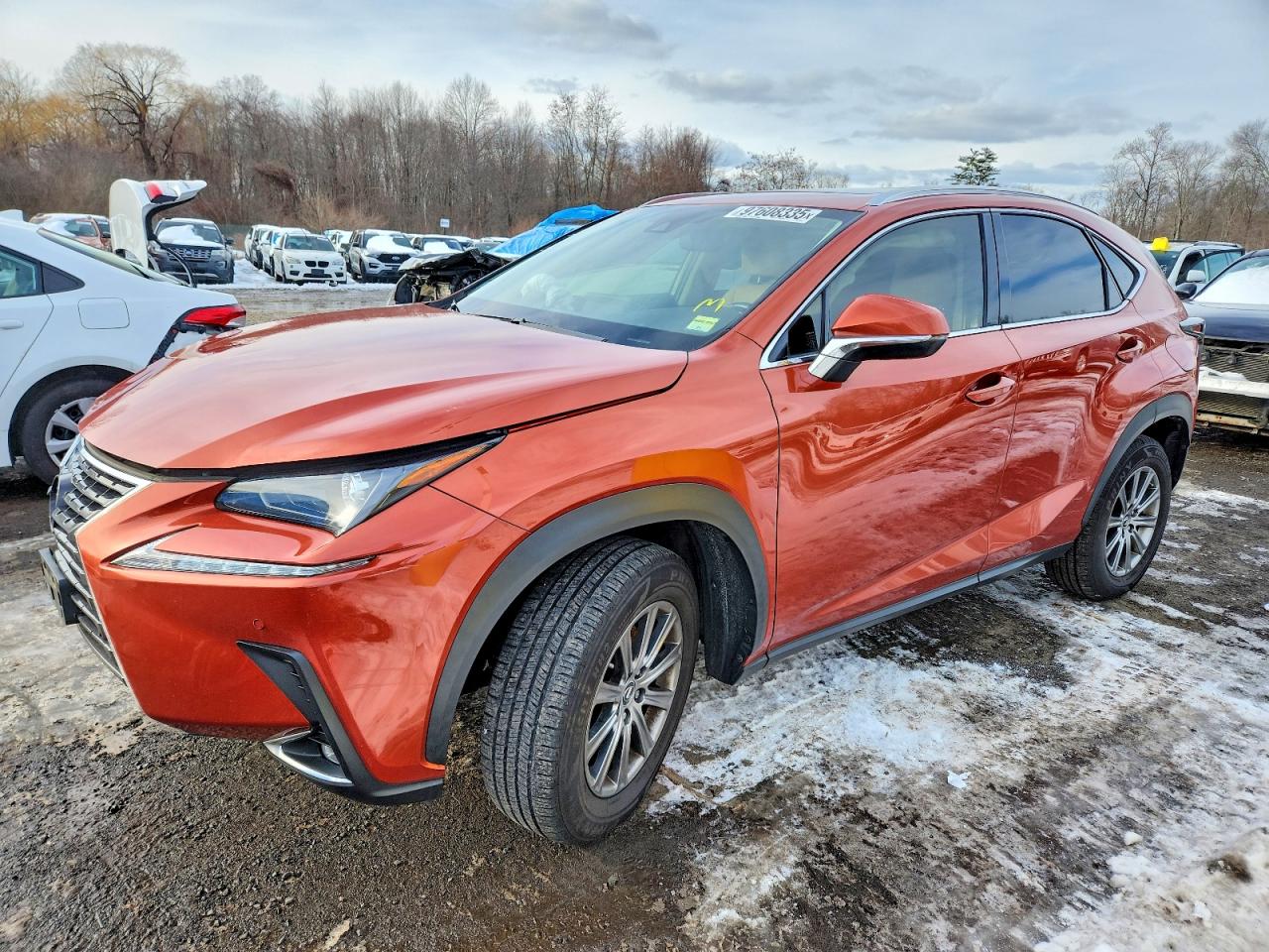 2020 LEXUS NX