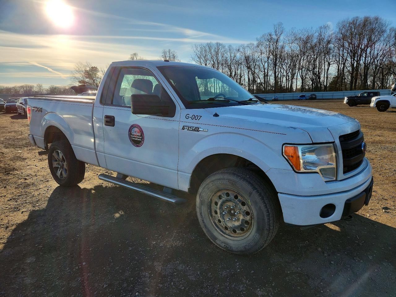 2014 FORD F150 photo 10
