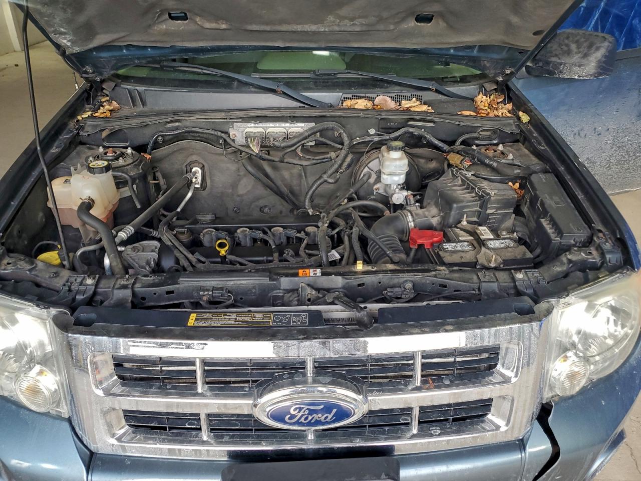2012 FORD ESCAPE XLT photo 12