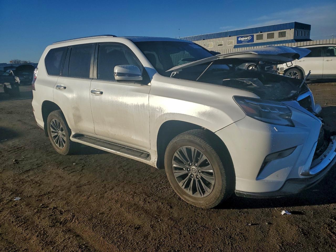 2023 LEXUS GX 460 photo 7