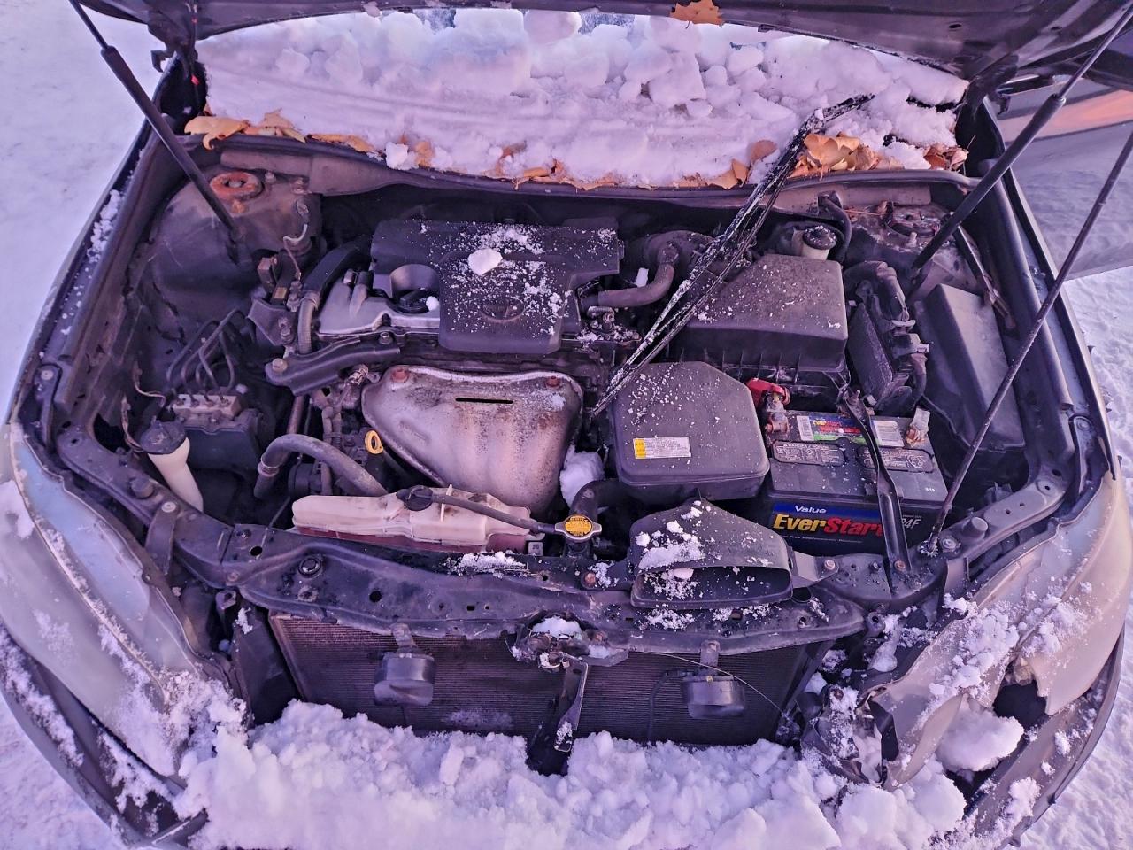 2015 TOYOTA CAMRY SE photo 11