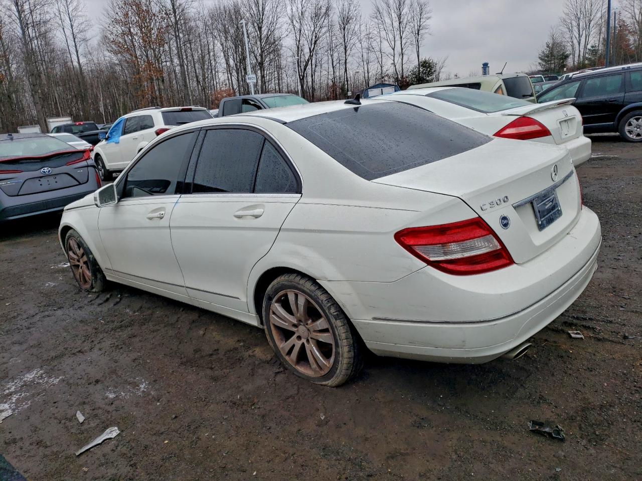 2010 MERCEDES-BENZ C 300 4MATIC photo 2