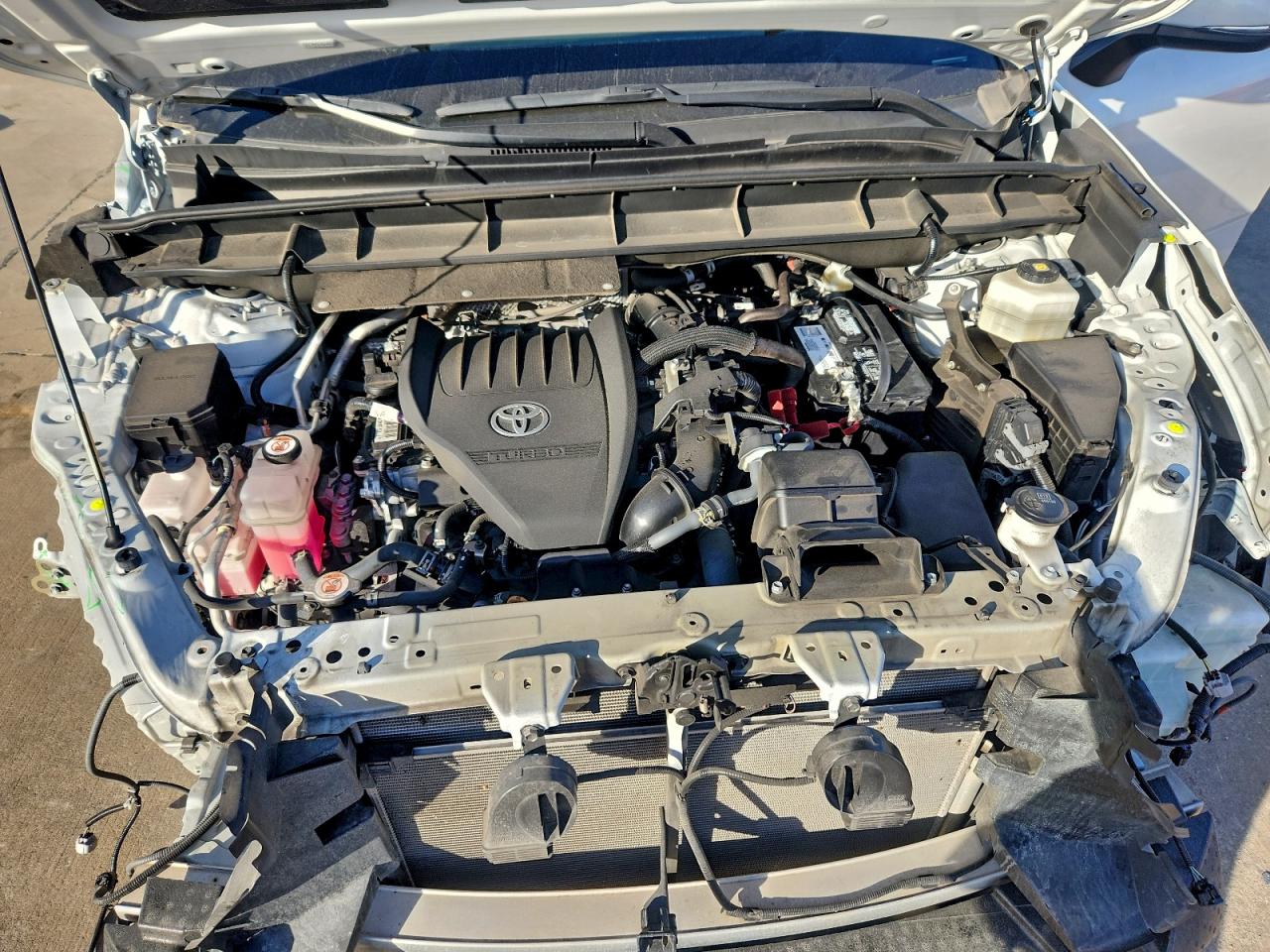 2023 TOYOTA HIGHLANDER L photo 12