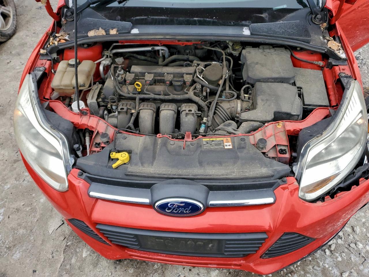 2013 FORD FOCUS SE photo 11