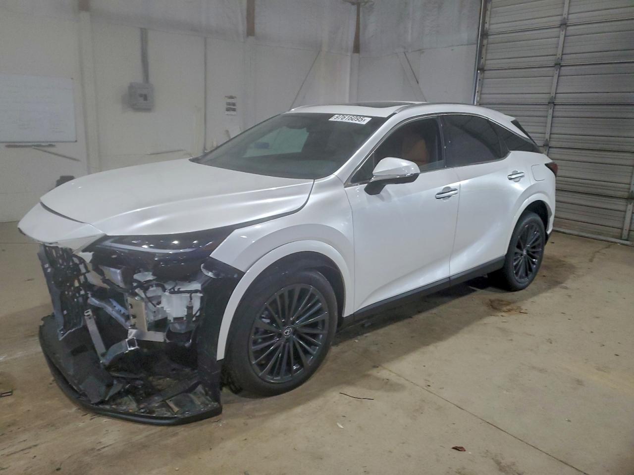 2025 LEXUS RX