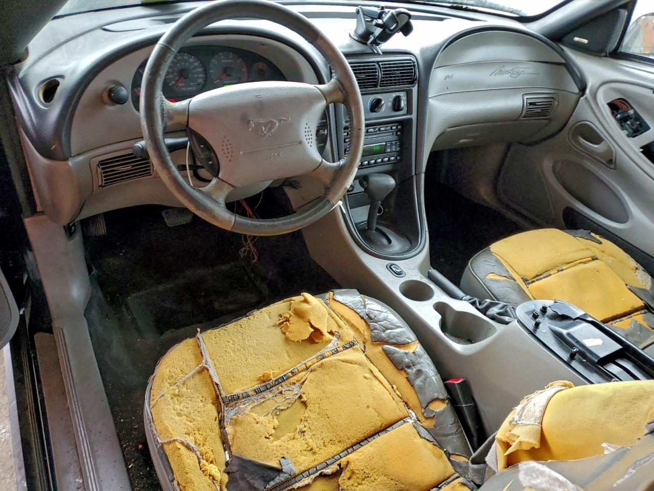 2002 FORD MUSTANG photo 8