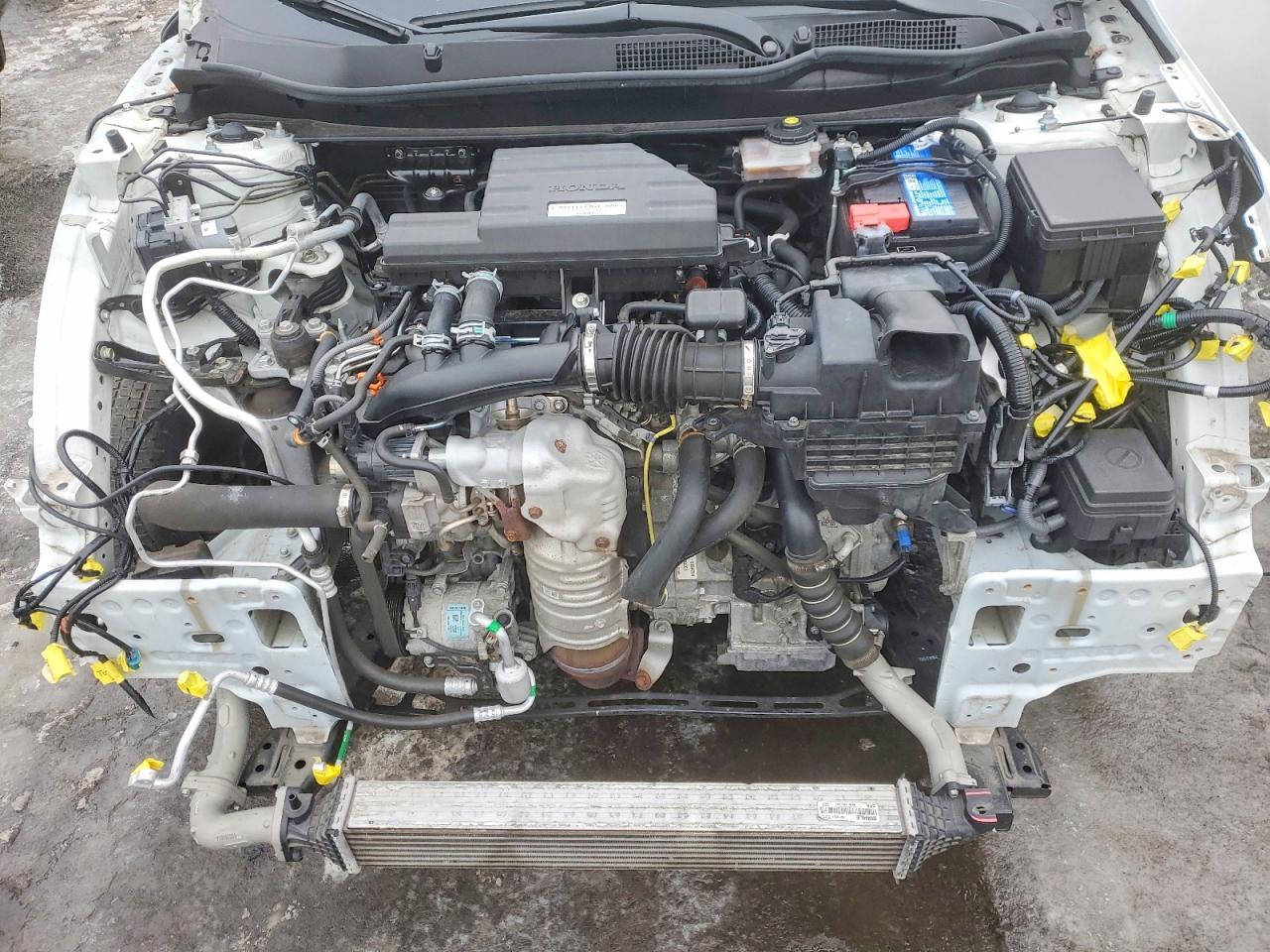 2020 HONDA CR-V LX photo 12