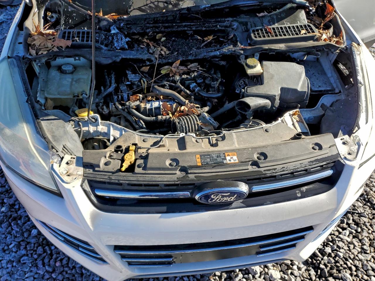 2014 FORD ESCAPE SE photo 12