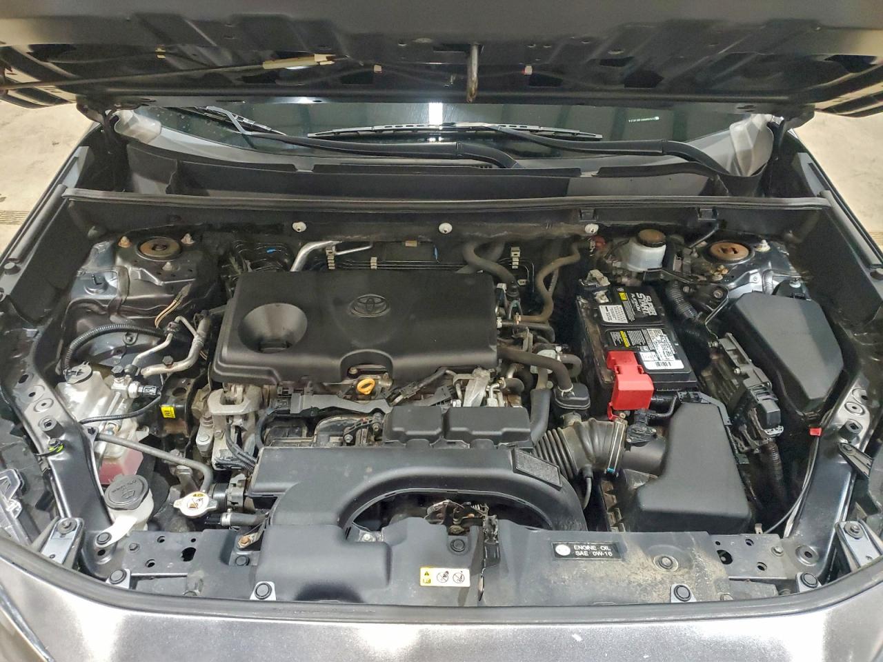 2019 TOYOTA RAV4 LE photo 12