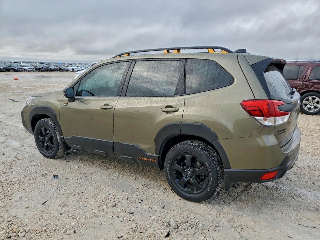 2024 SUBARU FORESTER WILDERNESS photo 2