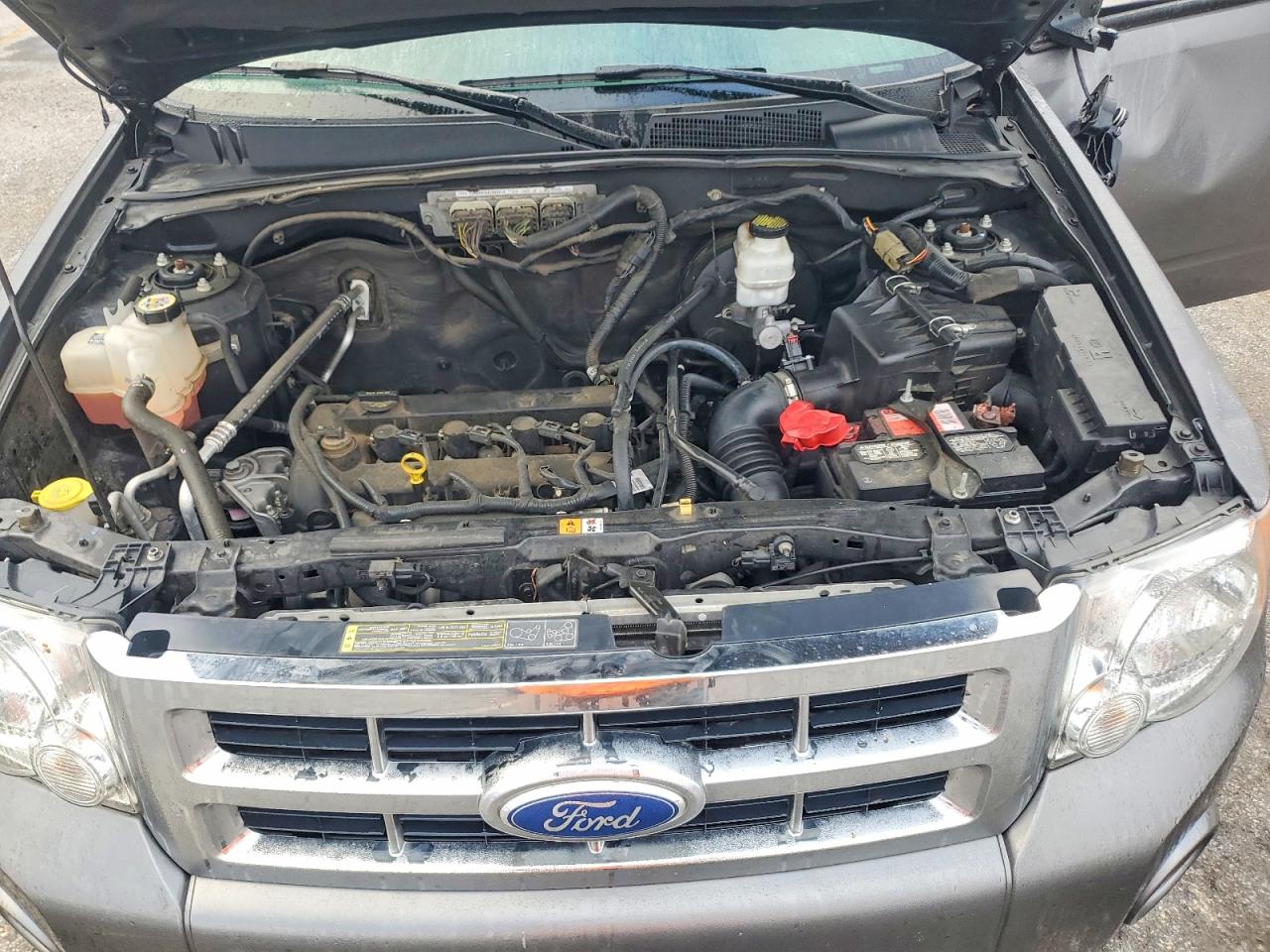 2012 FORD ESCAPE XLT photo 12