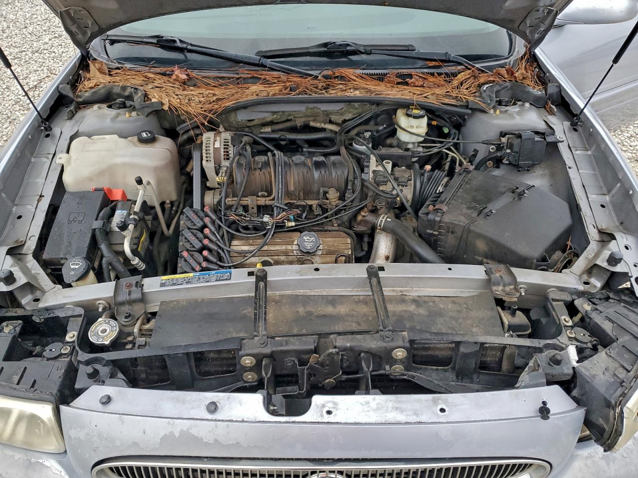 2004 BUICK LESABRE CUSTOM photo 11