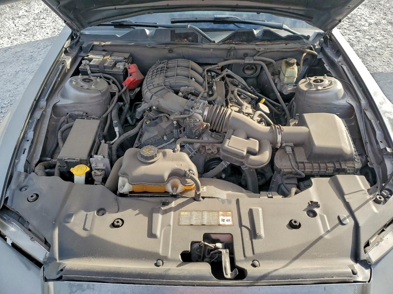 2014 FORD MUSTANG photo 11