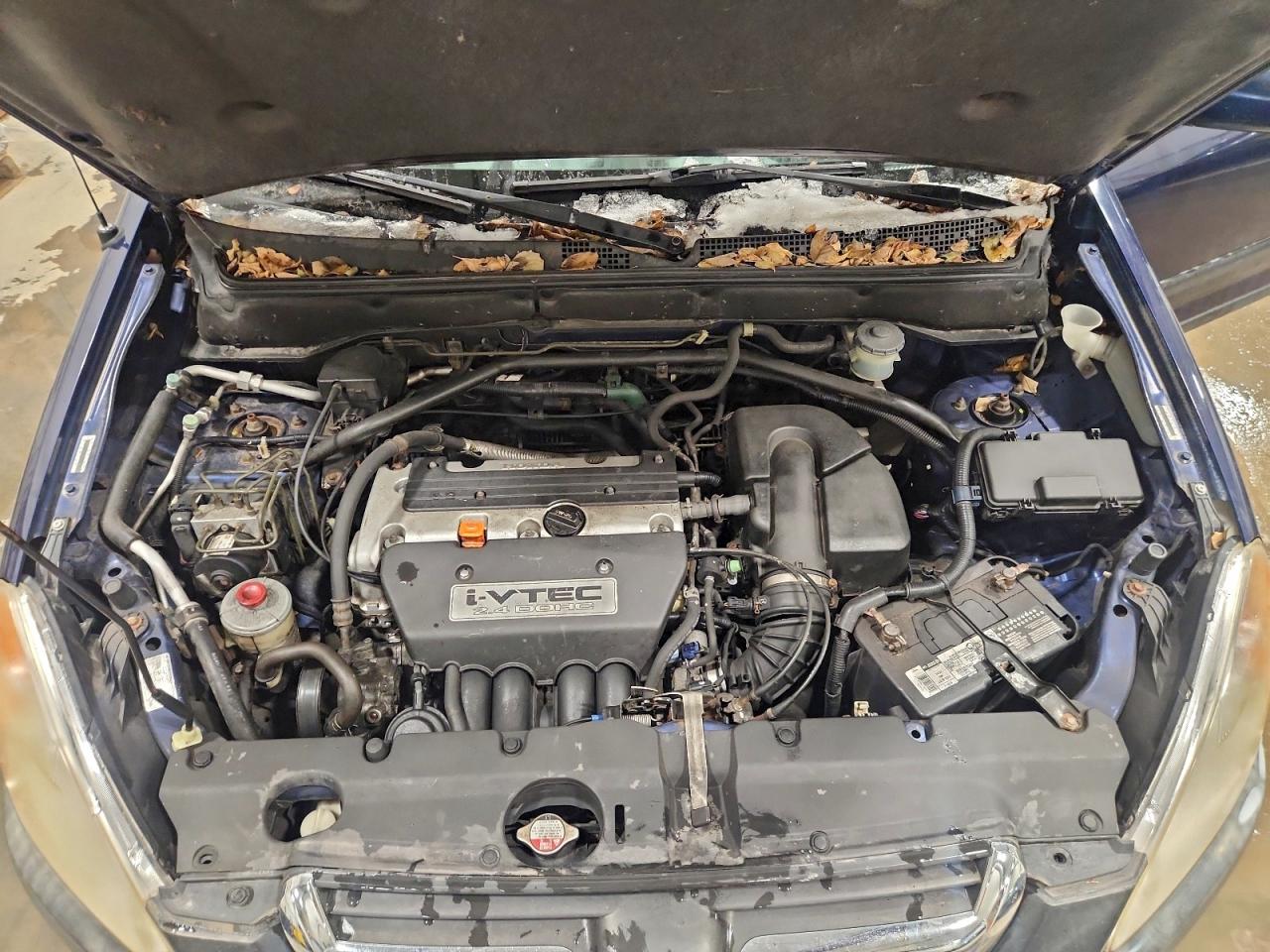 2004 HONDA CR-V EX photo 12